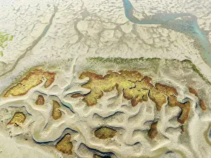 Meandering: Network of channels and streams at low tide