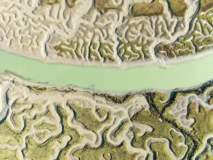 Meandering: Network of channels and streams at low tide