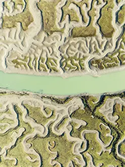 Meandering: Network of channels and streams at low tide
