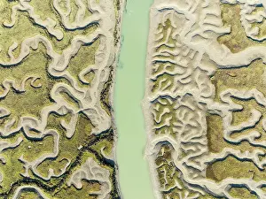 Meandering: Network of channels and streams at low tide