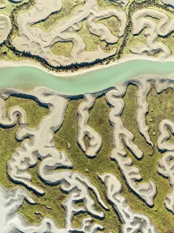 Meandering: Network of channels and streams at low tide