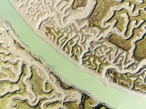 Meandering: Network of channels and streams at low tide