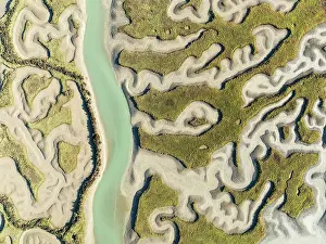 Meandering: Network of channels and streams at low tide