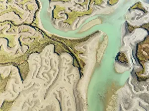 Meandering: Network of channels and streams at low tide