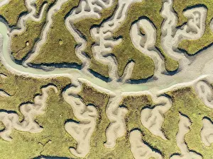 Meandering: Network of channels and streams at low tide