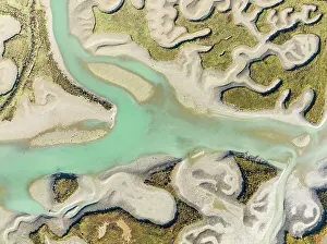 Meandering: Network of channels and streams at low tide