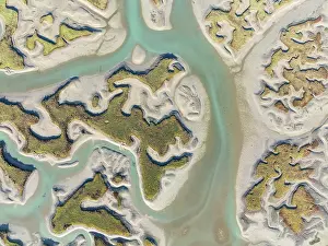 Meandering: Network of channels and streams at low tide