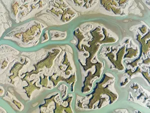 Meandering: Network of channels and streams at low tide