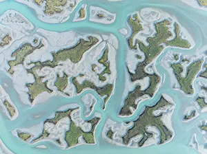 Tides: Network of channels and streams at low tide