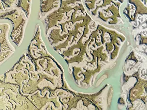 Tides: Network of channels and streams at low tide