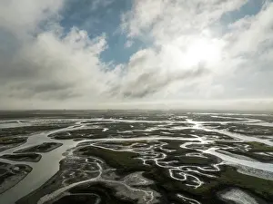 Tides: Network of channels and streams at low tide