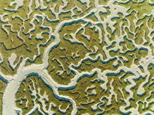 Channels: Network of dry channels and streams at low tide