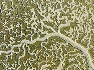Channels: Network of dry channels and streams at low tide