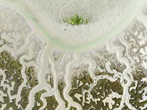 Meandering: Network of dry channels and streams at low tide