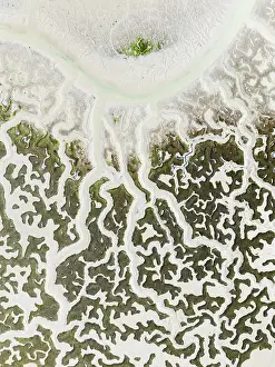 Meandering: Network of dry channels and streams at low tide