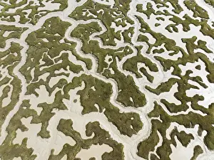 Meandering: Network of dry channels and streams at low tide