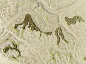 Meandering: Network of dry channels and streams at low tide