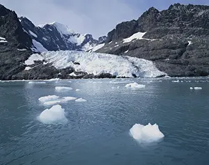 Terminal: Neumayer Glacier