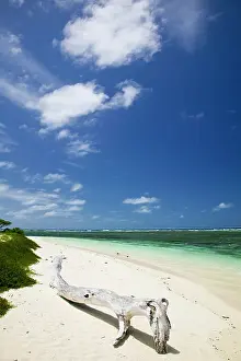 Driftwood: New Caledonia, Amedee Islet. Amedee Islet