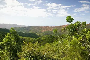 Caledonia: New Caledonia, Central Grande Terre Island