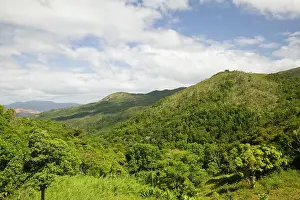 Caledonia: New Caledonia, Central Grande Terre Island
