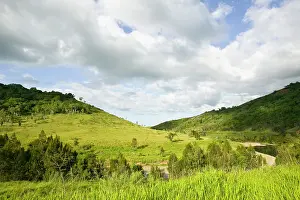 Caledonia: New Caledonia, Central Grande Terre Island