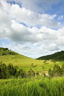 Caledonia: New Caledonia, Central Grande Terre Island
