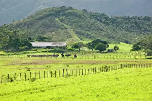Terre: New Caledonia, Central Grande Terre Island