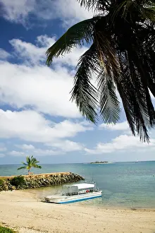 Anse: New Caledonia, Grande Terre Island, Noumea