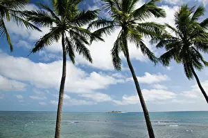 Anse: New Caledonia, Grande Terre Island, Noumea