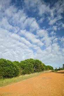 Caledonia: New Caledonia, North-West Grande Terre Island
