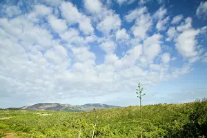 Caledonia: New Caledonia, North-West Grande Terre Island