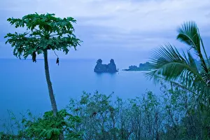 Brooding: New Caledonia, Northern Grande Terre Island