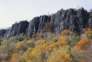 Basaltic: New Jersey Palisades