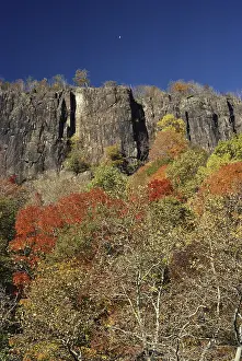 Basaltic: New Jersey Palisades