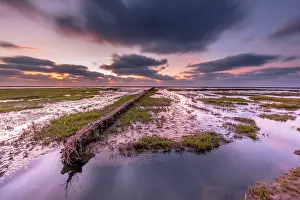 Groningen: New land being created in the tidal marsh of Natura 2000 area Waddensea on the Groningen coast in the Netherlands