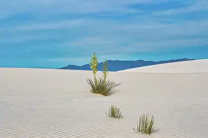 Southwest: New Mexico's White Sands National Park