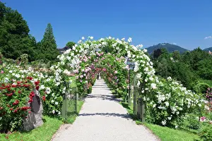 Ways: New Rose Garden on Beutig Hill, Baden-Baden, Black
