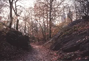 Cities: New York - Central Park, in the fall