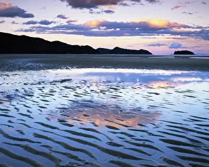 Tasman: New Zealand, Abel Tasman National Park