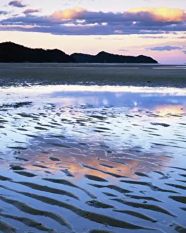 Tasman: New Zealand, Abel Tasman National Park