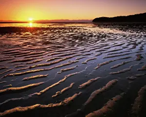 Tasman: New Zealand, Abel Tasman National Park