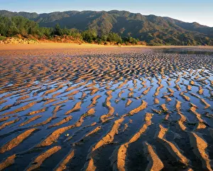 Tasman: New Zealand, Abel Tasman National Park