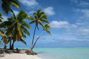 Seashore: New Zealand, Cook Islands, Aitutaki, One Foot Island