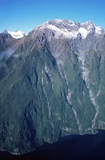 Milford: New Zealand, Fiordland Coast near Milford