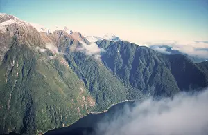 Milford: New Zealand, Fiordland Coast near Milford