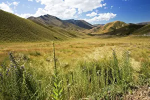 Spaces: New Zealand - gently rolling hills and wide open spaces