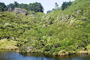 Reservoirs: New Zealand - Native bush and reservoir Karori