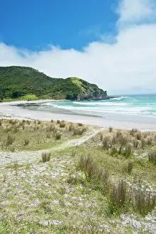 Tilley: New Zealand, North Island, Cape Reinga