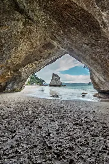 Tilley: New Zealand, North Island, Coromandel Peninsula